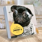 2027 Dog A Day Daily Desktop Calendar