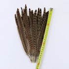 10pcs Natural Pheasant Tail Feathers 25-30cm Diy Crafts Wedding Decor