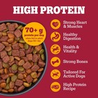 Pedigree High Protein Adult Dry Dog Food  Beef And Lamb  18 Lb