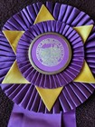 West Coast Venues 1970 s Horse Show Ribbons Awards Equestrian Events Southern C