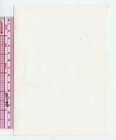 Original Antique Vintage Bert Grimm Tattooed Man St  Louis Mo Tattoo Photo 5x7