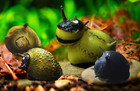 5 Assorted Nerite Snails  Freshwater Live Aquarium Snails