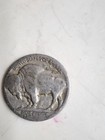 Buffalo Nickel With No Date Rare Collectible