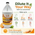 Eco Cln Citrus All-purpose Cleaner Concentrate 1 Gallon 4-pack