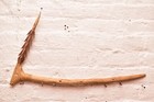 Vintage Carved Wood Adze Axe Weapon  Highlands Papua New Guinea Png Tool 23 