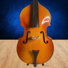 Upright Double Bass 1 4 Size Vintage Engelhardt M3 With Bow And Gig Carry Bag