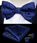 Black Blue Paisley Floral Mens Silk Pre Bow Tie Formal Bowtie Set Wedding Tie