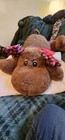 Dan Dee Collector s Choice Holiday Moose Plush  I