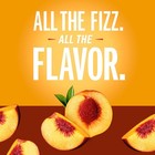 Izze Sparkling Juice Beverage Blend  Peach  No Sugar 8 4 Fl Oz  pack Of 24  