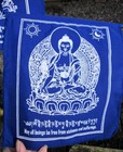 Healing String Of 10 Flags 8 X 8  Medicine Buddha Tibetan Buddhist Prayer Flags