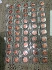 Qty 20x 1 Oz  999 Fine Copper Rounds In Capsules  1 25 Lbs  Walking Liberty