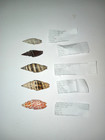 Vexillum Granosum Subdivisum Vulpecula Plicarium Mitra Stictica Seashells Set 5