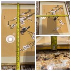 Vintage Chinese Watercolor Silk Painting Bird On Cherry Blossom Branch Framed