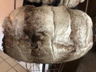 Victorian 1800 s Goose Hide   Beaver Muff   Shawl Collar Set Museum Quality Rare