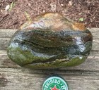 Rare 232g Agatized Fossil Crab     3  Specimen     Orange Carapace     Museum Grade