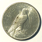 1925 Peace Silver Dollar  Uncirculated   Very Nice Coin  Free Shipping 