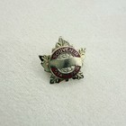 Vintage Gold Tone Souvenir State Fair Leaf Red Enamel Pin Collectible