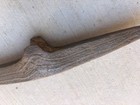 Antique Miners   Prospectors Pick  Coal  Gold   Wrought Iron   Steel Points
