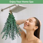 12pcs Dried Eucalyptus Bundle 17   Real Eucalyptus Stems 100  Natural Fresh L   