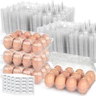 60 Pcs 3x4 Clear Plastic Egg Cartons Cheap Bulk  12 Count Reusable Egg