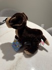 Nwt Webkinz Mocha Pup With Sealed Unused Code Ganz Plush