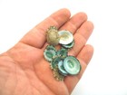 25 Emerald Green Mexican Limpet Shells  1 2-1   Beach Crafts Coastal Decor