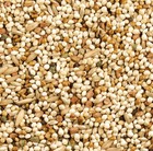 Parakeet Canary Finch Bird Seed Mix
