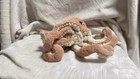 Jellycat Little Odell Octopus Pink Apricot Plush Stuffed Tentacles 6    - 14    