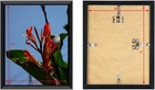 10x12 Picture Frame photo Frame display Pictures 10 X 12 Without Mat