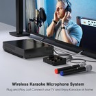 Wireless Karaoke Microphone Mixer System Dual Handheld Mic For Tv Pc Speaker