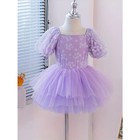 Girls Lavender Ballet Tutu Dress 110cm  girls 4 5t  Floral Leotard Dance