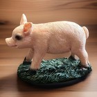 New Country Farm Fairy Garden Miniature Pink Pig Figurine Resin Shelf Figure 2 