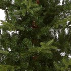 National Tree Company  feel Real  Artificial Christmas - Norwegian Green