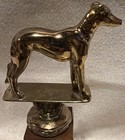Vintage Greyhound Dog  Award Gold  Tone Nos 4   