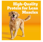 Pedigree Adult Dry Dog Food Steak   Vegetable Flavor 38 Lb Complete Nu  2 Pack 