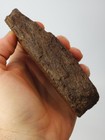 Triceratops Horn Section Dinosaur Fossil - Lance Fm  - Weston Co   Wy