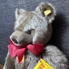 Vintage 15    Steiff Mohair Teddy Bear Button Ear Tag 0202 41