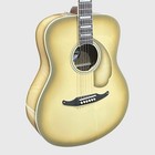 Fender Limited Edition California Vintage Palomino Auditorium Acoustic Electric