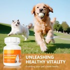 Dogs Cats Glucosamine Hip Joint Supplement 300 Tablets Chondroitin Bone Care