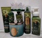 Disney Bath   Body Works Princess Tiana Wallflower Candle Fragrance Mist Bundle
