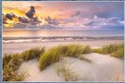 Beach Outer Banks Ocean Sand Dune Scenic Quilt Top Wall Hanging Panel Fabric