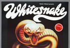 Whitesnake David Coverdale     Rare Vintage Original 1979 Concert Poster  trouble 
