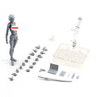 New Drawing Figures For Artists Action Figure Model Human Mannequin Action Toy