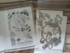 Stampin  Up  Retired Bundle - Charming Duck Pond