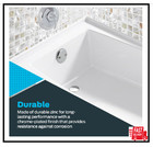 Ez-flo Two-hole Bathtub Overflow Face Plate With 0 70 X 3 3 X 3 3   Chrome 