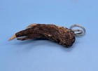 Alligator Foot Keychain Medium