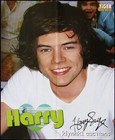 Harry Styles One Direction 2 Posters Centerfolds Lot 3064a Justin Bieber On Back