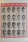1979 80 Detroit Red Wings Signed Roster Page 15  Autographs Framed No Coa
