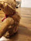 Early 1900 s Antique 10  Steiff Teddy Bear No Button Brown Mohair Fully Jointed
