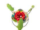 Fisher-price Rainforest Jumperoo Baby Jumper Local Pickup Only  No Shipping 